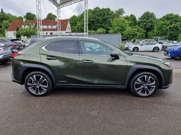UX 250h Style Edition