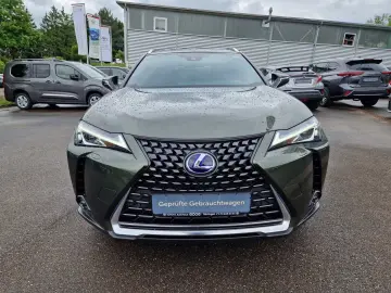 UX 250h Style Edition