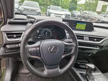 UX 250h Style Edition
