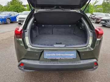 UX 250h Style Edition
