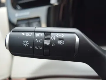 LM 350 h Luxury