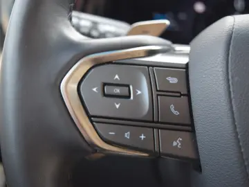 LM 350 h Luxury