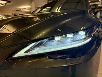 RX 350H - MATRIX LED-KAMERA-LEDER-NAVI.-44.890,-