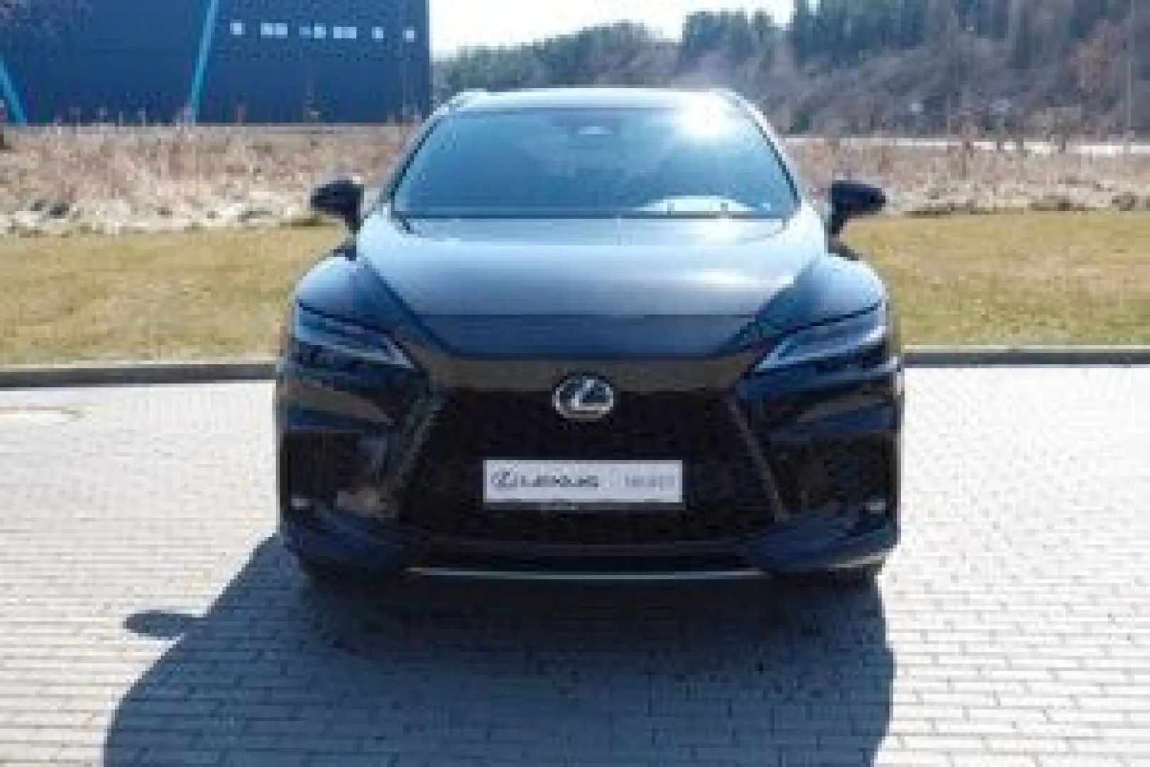 RX 500 h DIRECT4 F SPORT