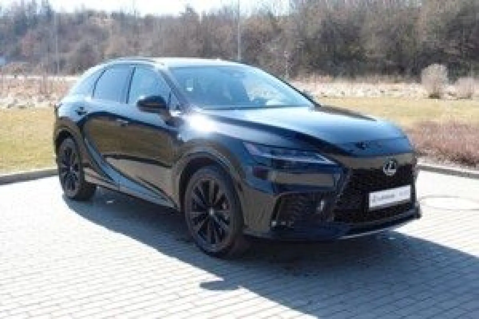 RX 500 h DIRECT4 F SPORT