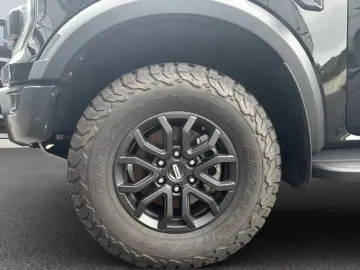 Raptor  e-4WD Doppelkabine