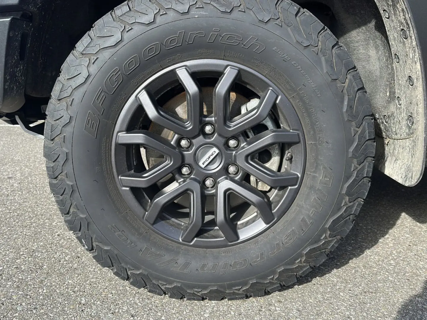 Raptor e-4WD Doppelkabine Bluetooth Navi LED