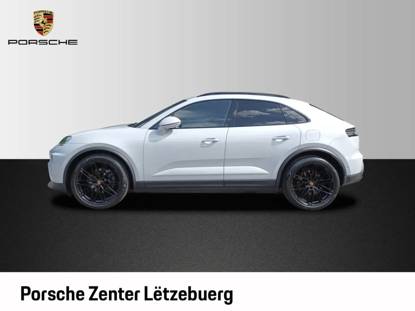 Macan 4