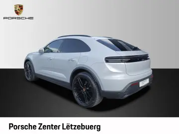 Macan 4