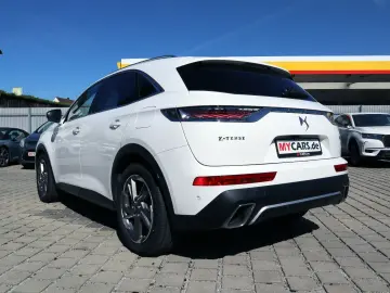 DS7 Rivoli-Vollleder*AHK*Export-Händler-Gewerbe