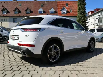 DS7 Rivoli-Vollleder*AHK*Export-Händler-Gewerbe