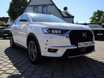 DS7 Rivoli-Vollleder AHK Export-Händler-Gewerbe