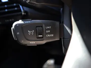 DS7 Rivoli-Vollleder*AHK*Export-Händler-Gewerbe