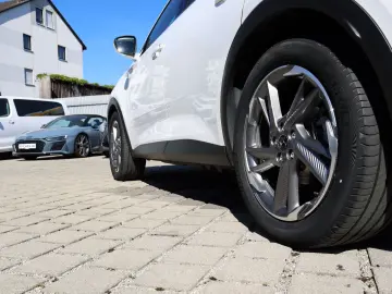 DS7 Rivoli-Vollleder*AHK*Export-Händler-Gewerbe
