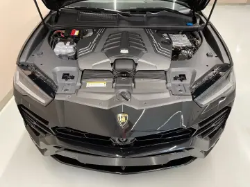Urus  ad Personam, 23