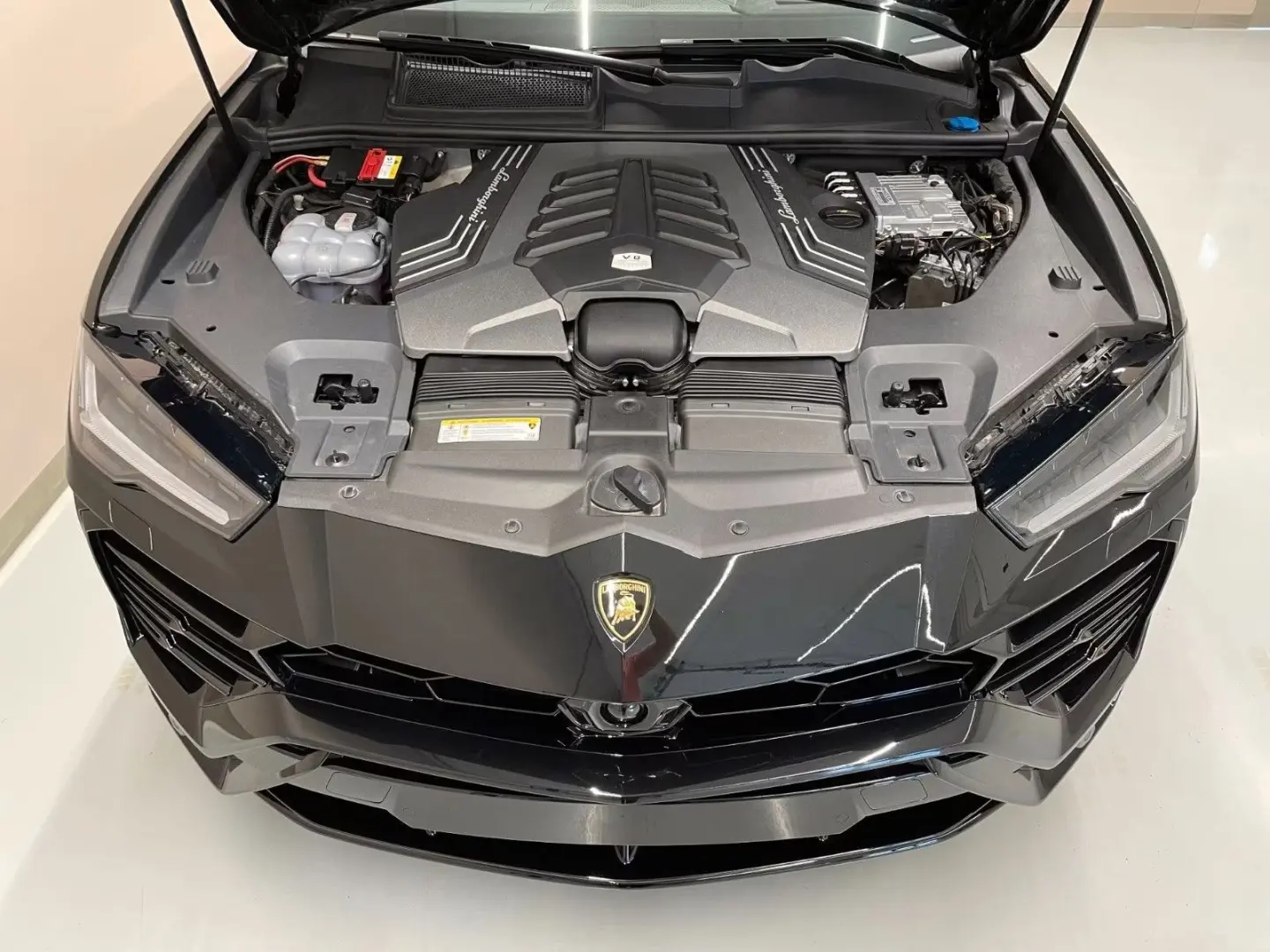 Urus  ad Personam, 23