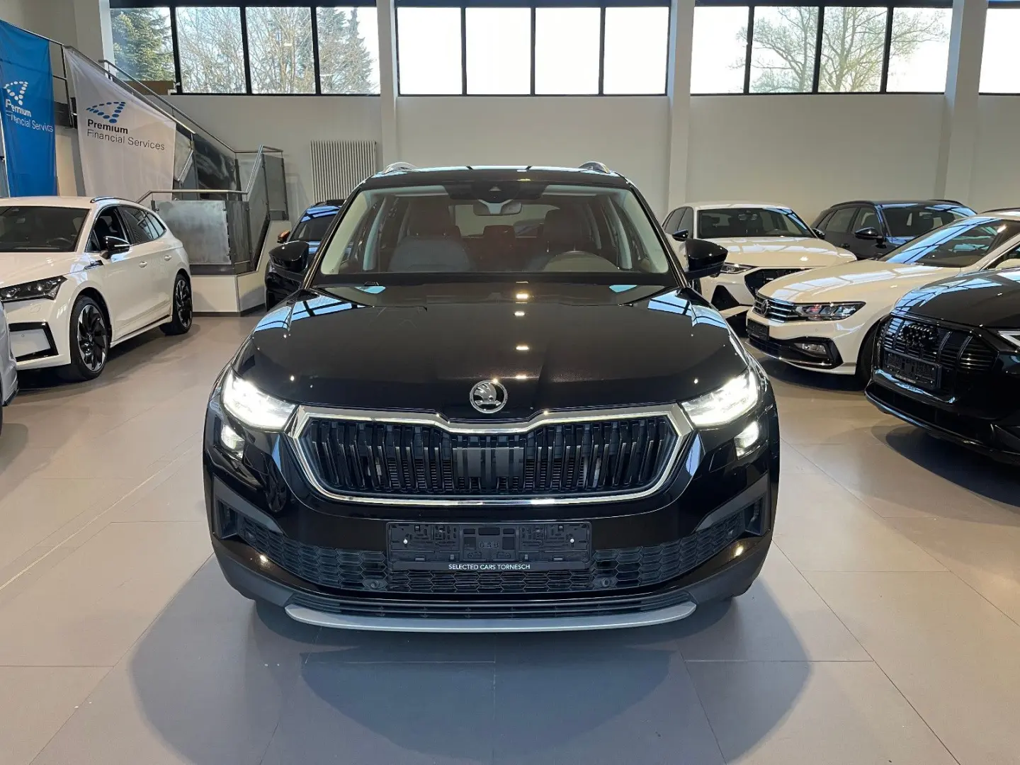 Kodiaq Clever 2.0 TDI DSG 4x4 AID/MATRIX/KAM/AHK