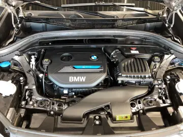 X1 xDrive25e Advantage