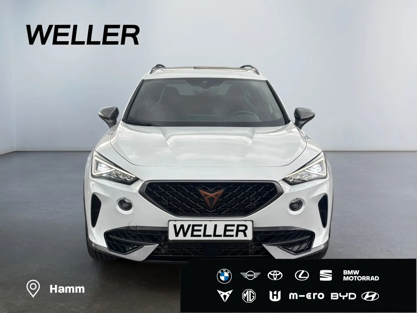 Formentor VZ 2.0 TSI 4Dr DSG *AHK*BREMBO*Leder*