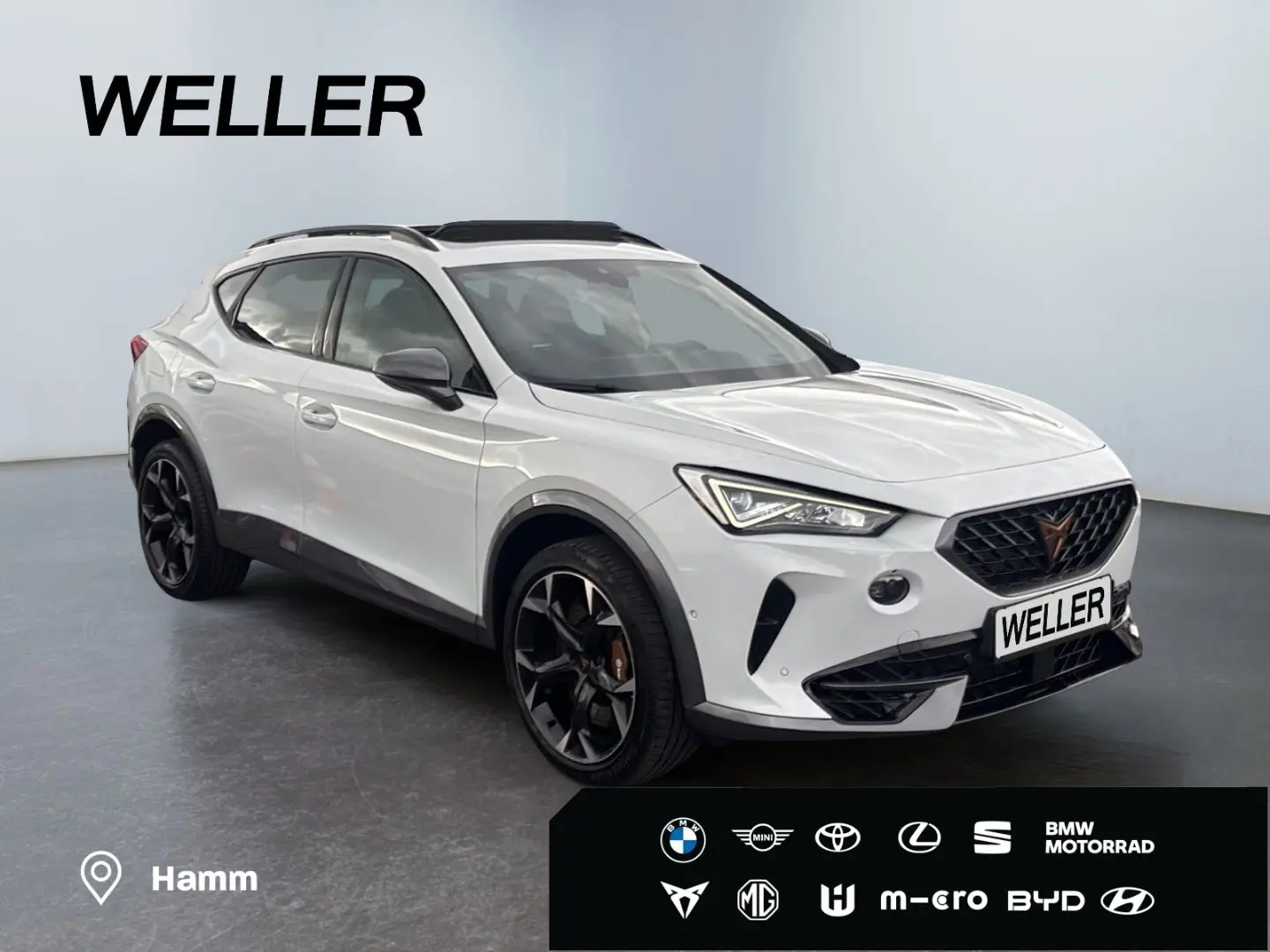 Formentor VZ 2.0 TSI 4Dr DSG *AHK*BREMBO*Leder*