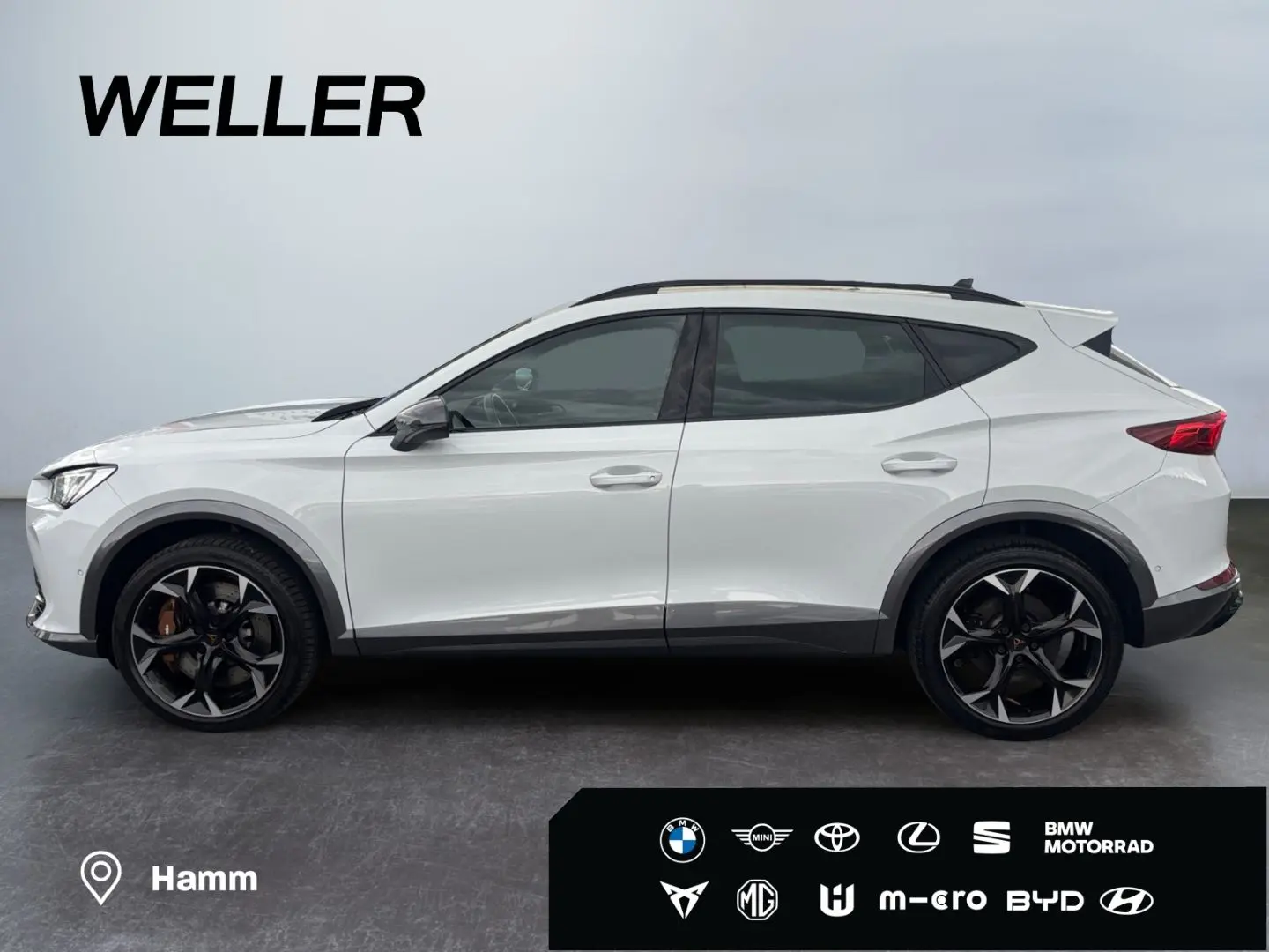 Formentor VZ 2.0 TSI 4Dr DSG *AHK*BREMBO*Leder*