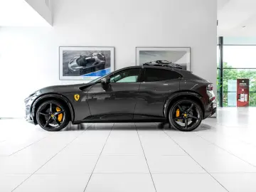 Purosangue ~Ferrari Munsterhuis~
