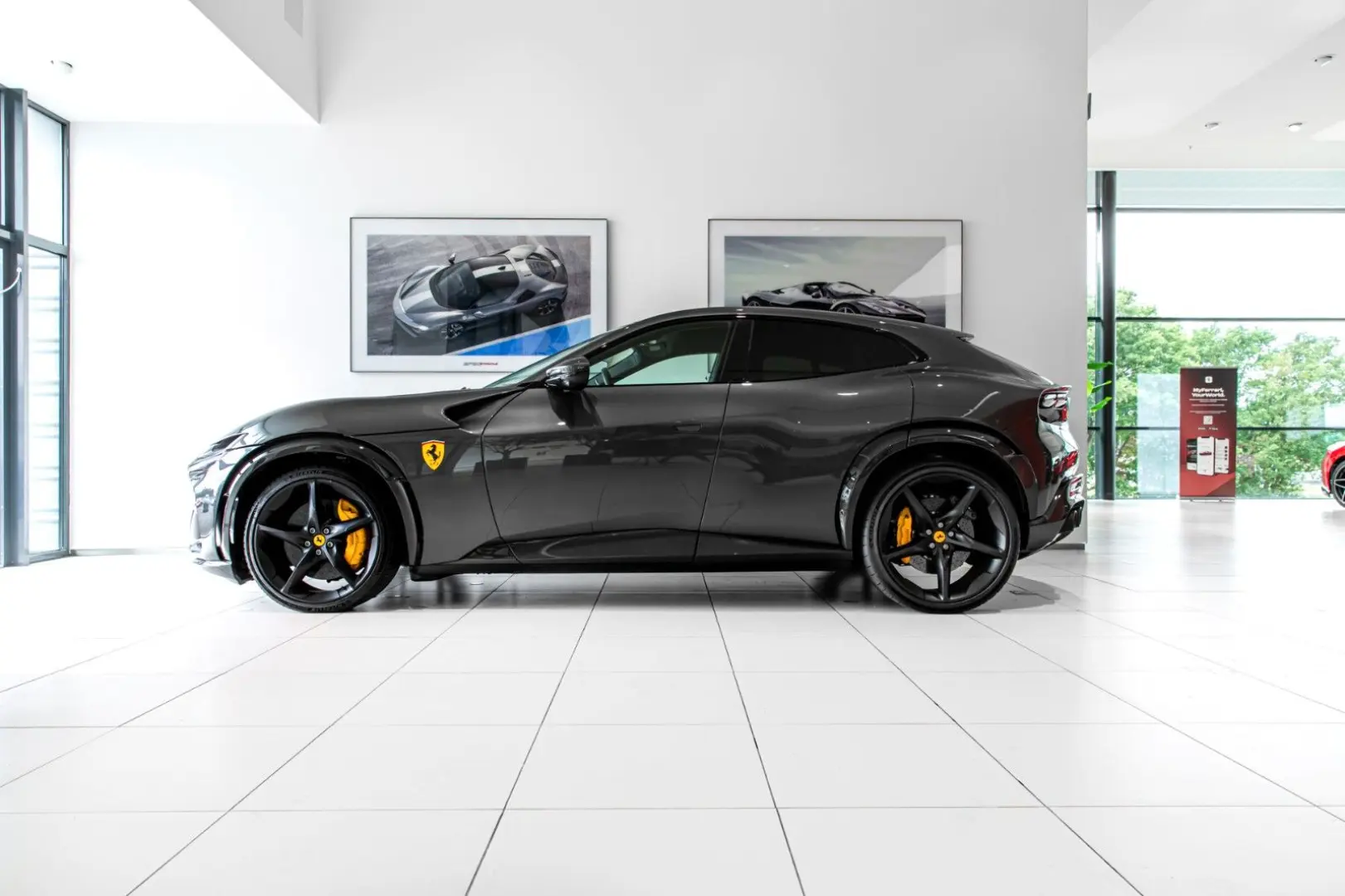 Purosangue ~Ferrari Munsterhuis~