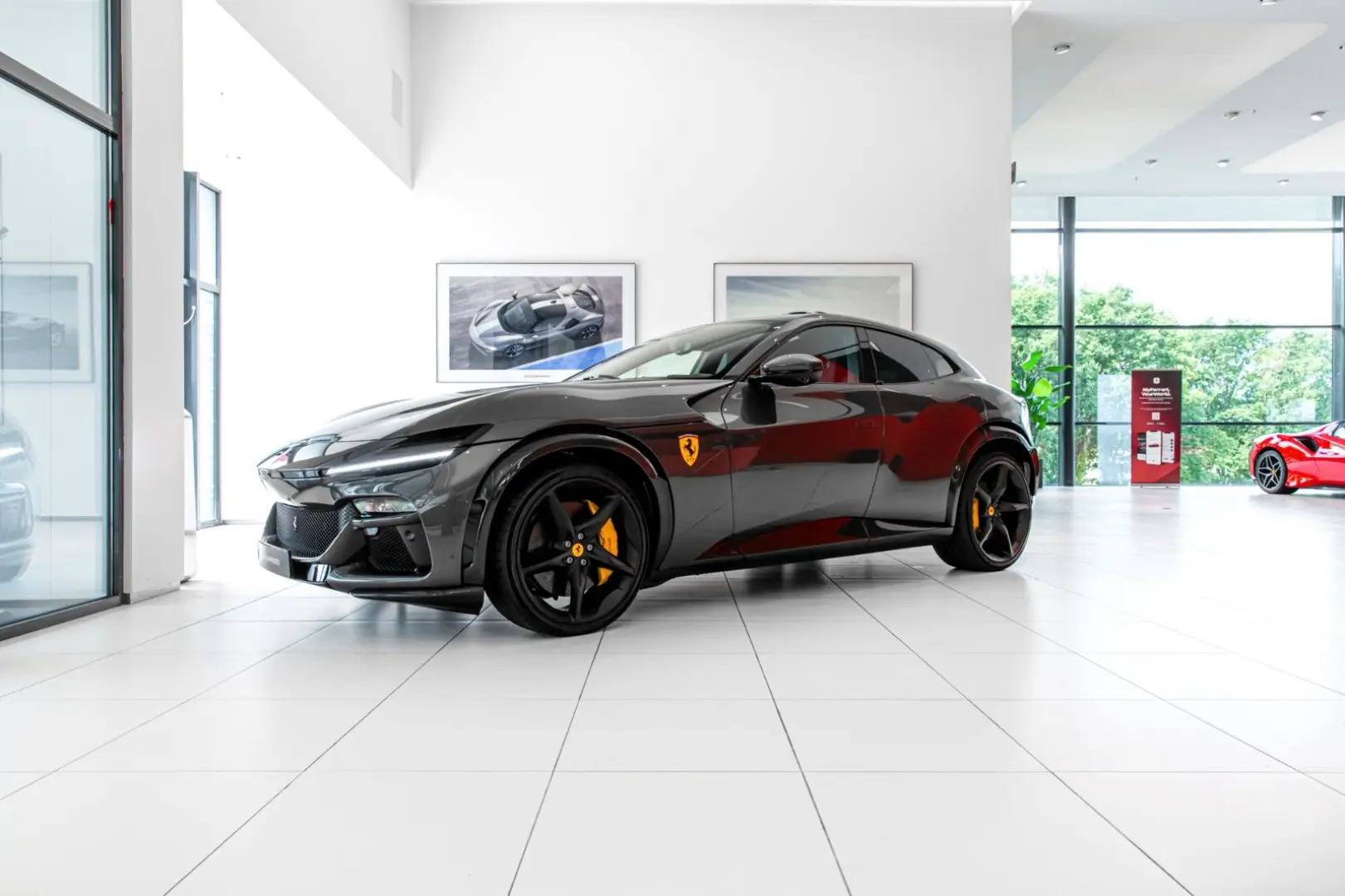 Purosangue ~Ferrari Munsterhuis~