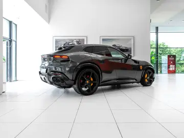 Purosangue ~Ferrari Munsterhuis~
