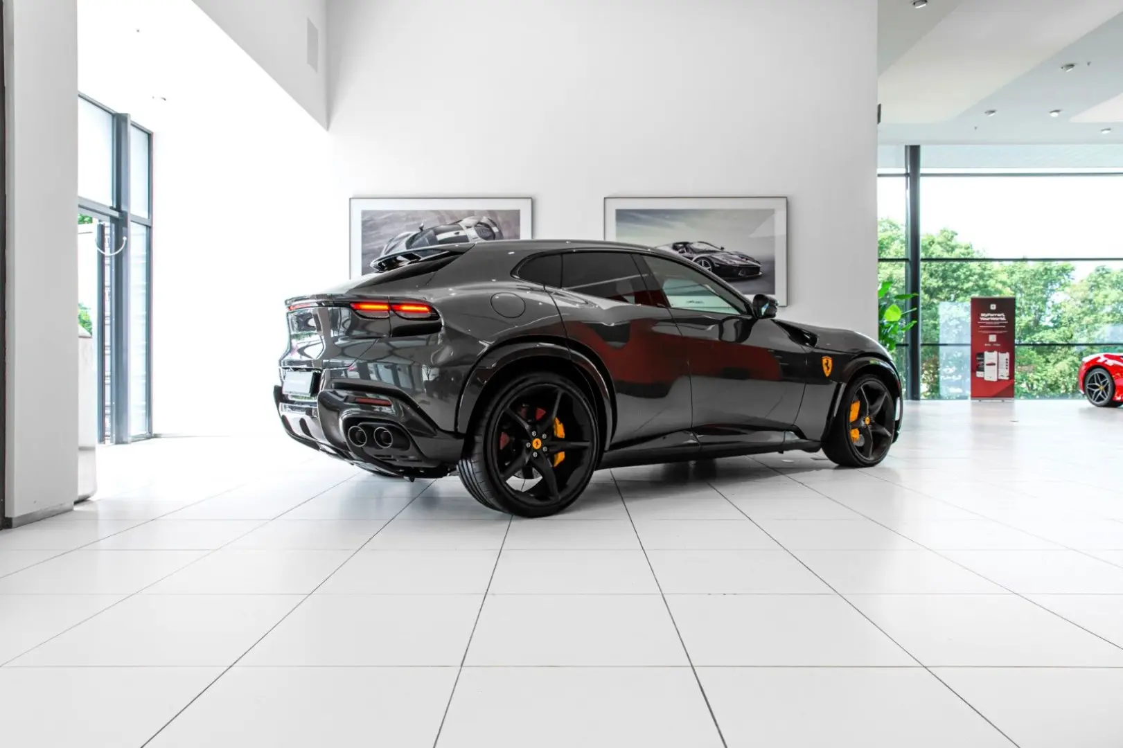 Purosangue ~Ferrari Munsterhuis~