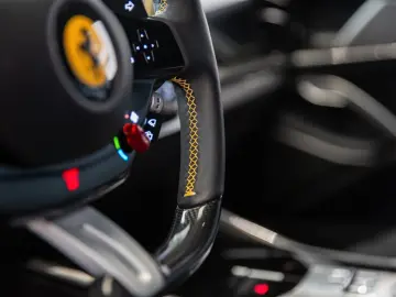 Purosangue ~Ferrari Munsterhuis~