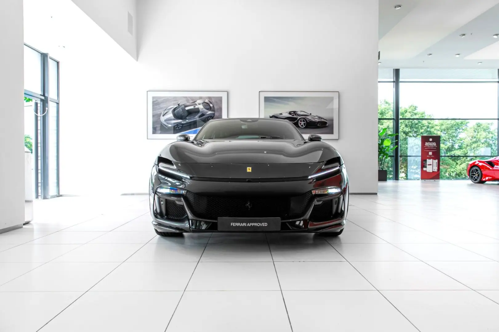 Purosangue ~Ferrari Munsterhuis~