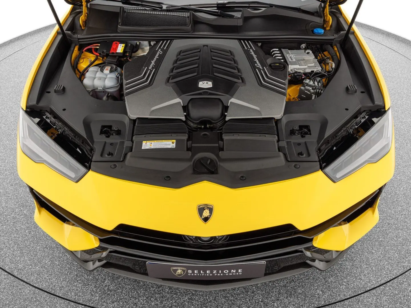 Urus Performante