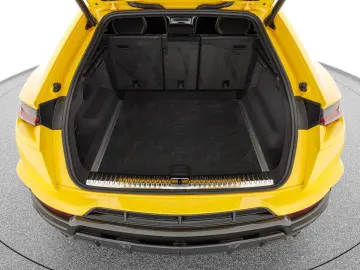 Urus Performante