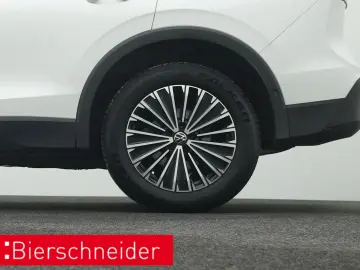 Tiguan 2.0 TDI DSG 4Mo. GOAL AHK IQ.LIGHT NAVI K