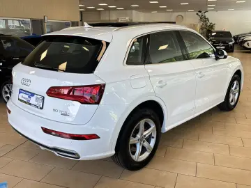 Q5 50 TFSI*quattro*S-Line