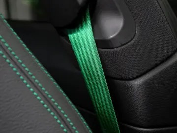 992 Carrera Python Green *CAM*HEAT*
