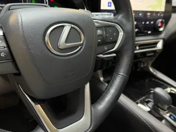 RX 450 h+ E-Four Executive Line Panorama AHK