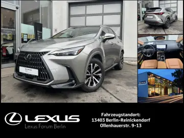 NX350h Executive Line   E-Four   Leder   Panoram
