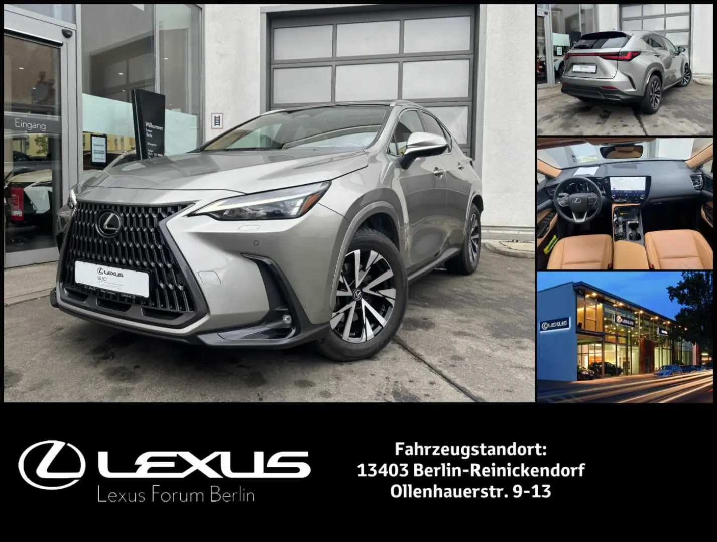 NX350h Executive Line * E-Four * Leder * Panoram