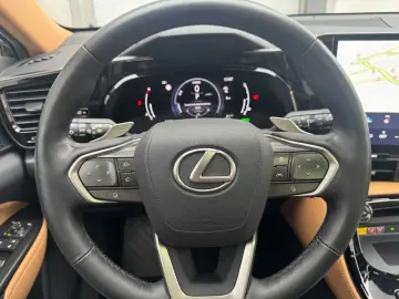 NX350h Executive Line * E-Four * Leder * Panoram