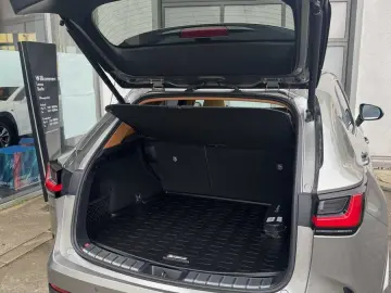 NX350h Executive Line * E-Four * Leder * Panoram