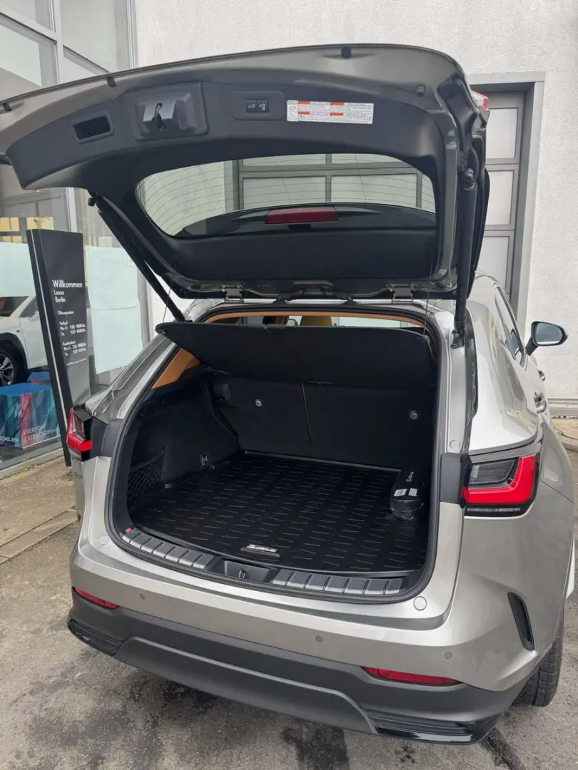 NX350h Executive Line * E-Four * Leder * Panoram