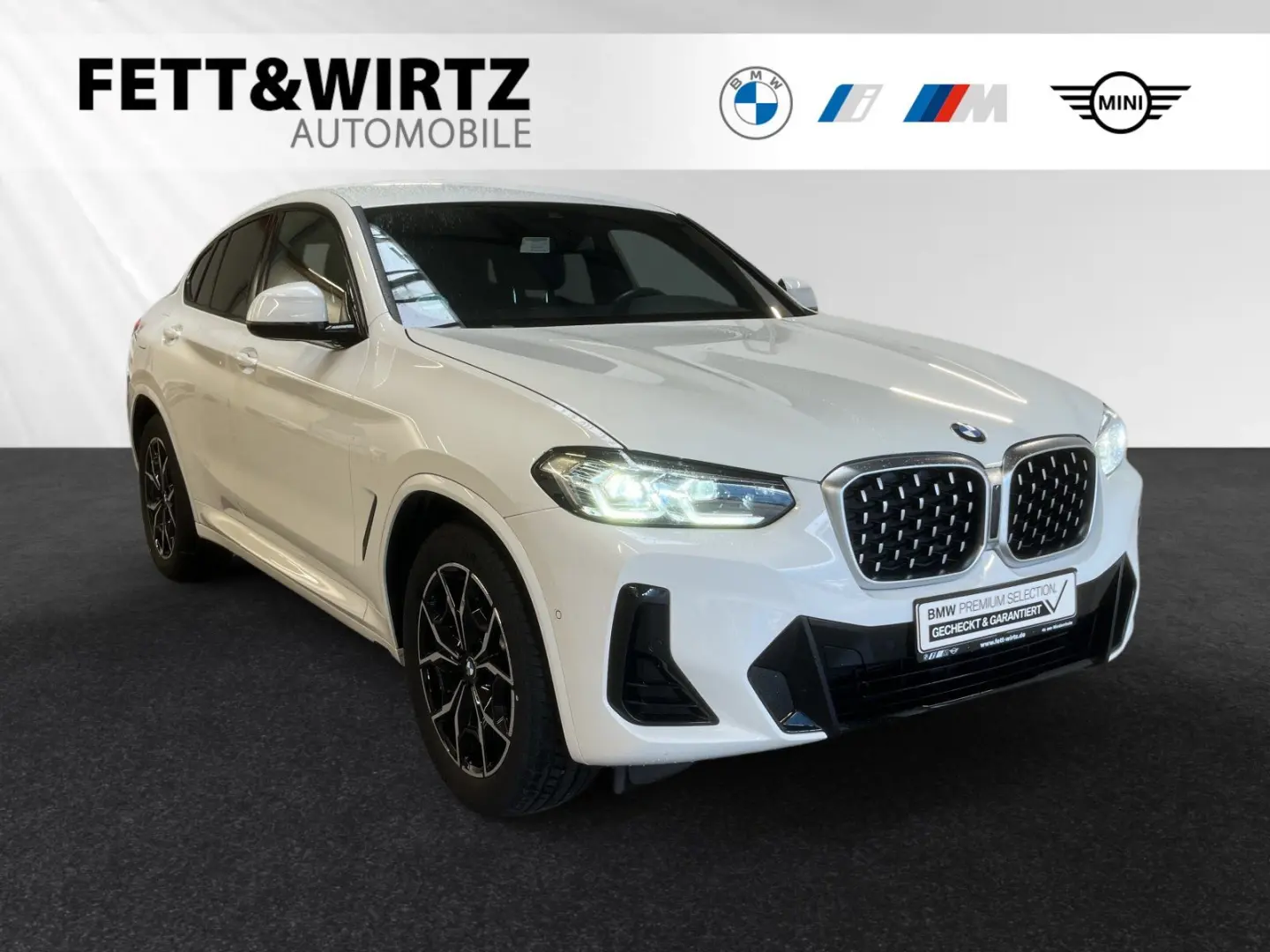 X4 xDrive20i M Sportpaket|HiFi|ParkingAss.|19