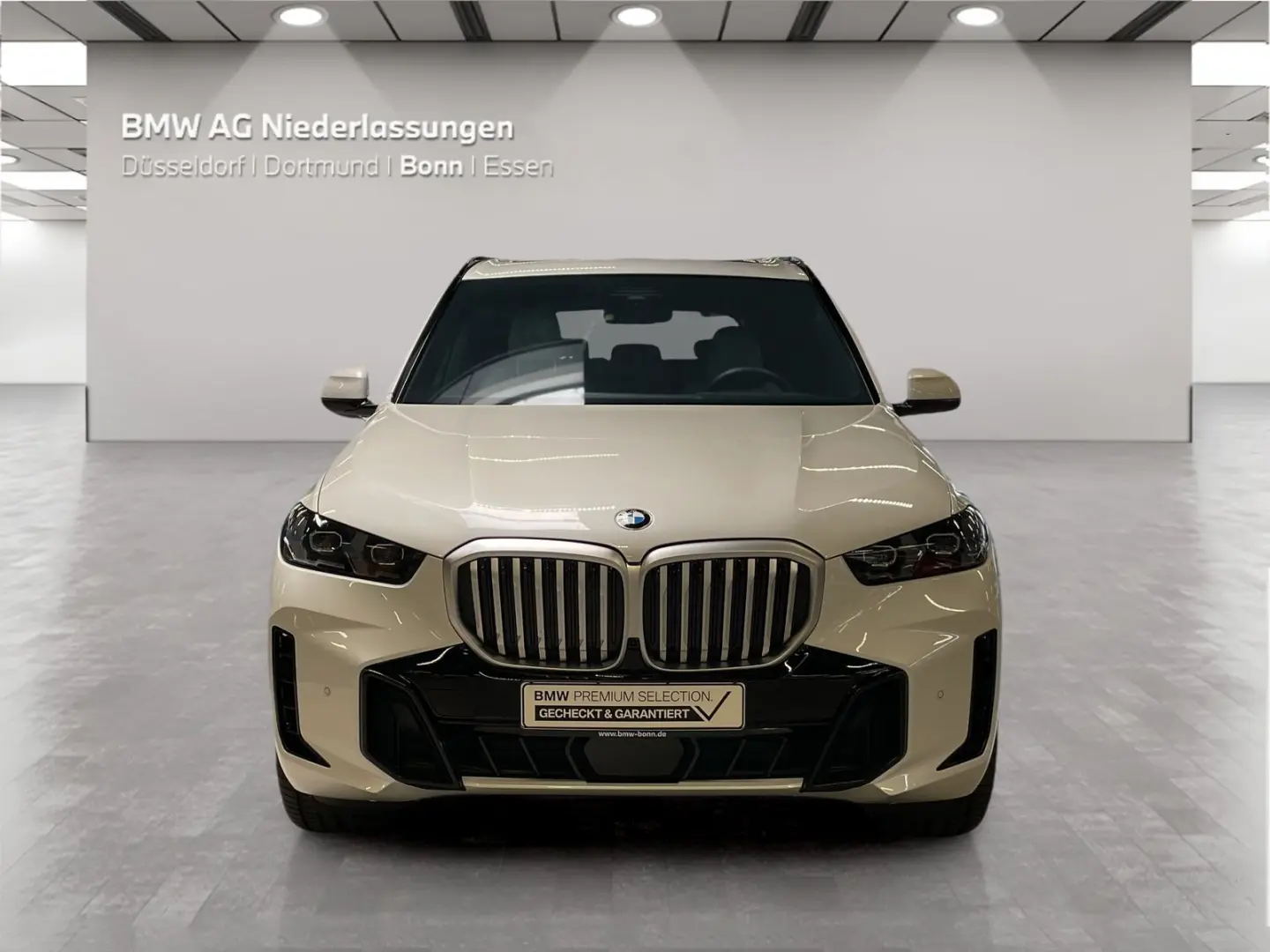 X5 xDrive40i M Sport Standheizung AHK Harman/K