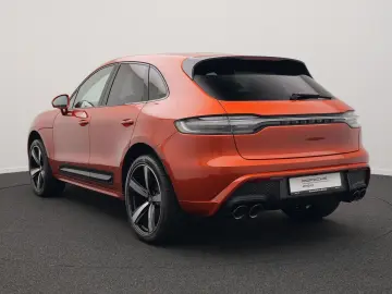 Macan