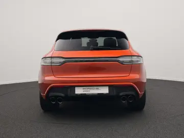 Macan