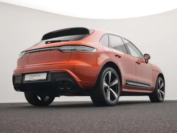 Macan
