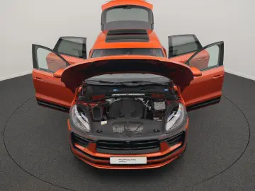 Macan