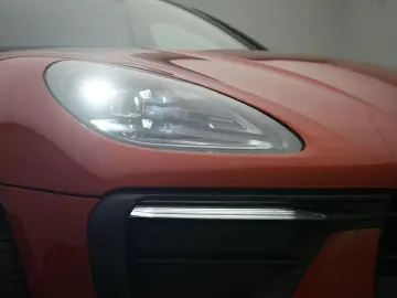 Macan